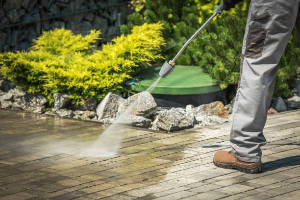 Best Animal Enclosure Cleaning  in Glenn Heights, TX